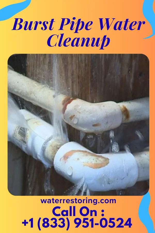Burst Pipe Water Cleanup in Clayton, NJ