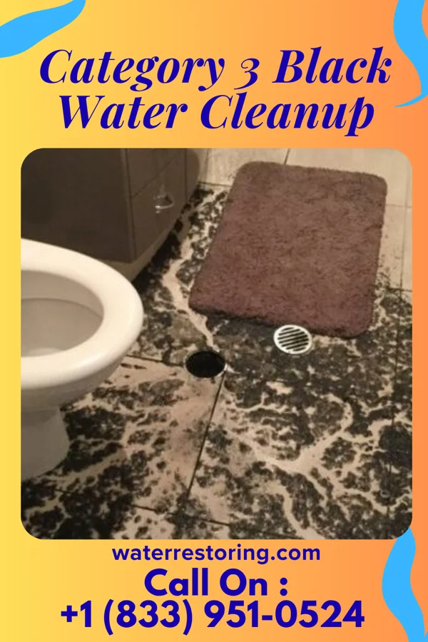 Category 3 Black Water Cleanup in Clayton, NJ