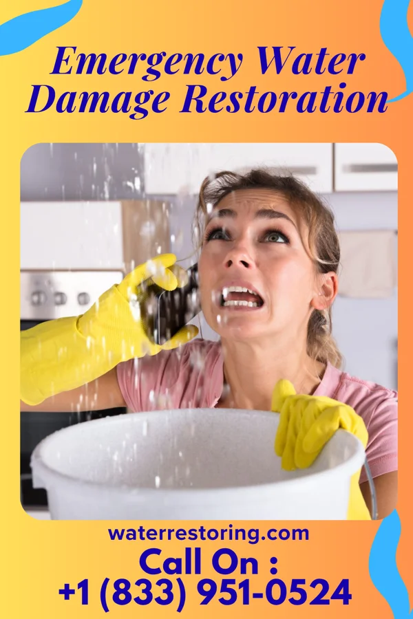 Emergency Water Damage Restoration in Clayton, NJ