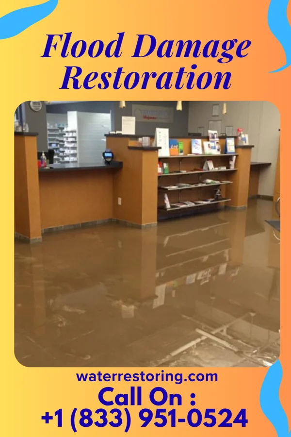 Flood Damage Restoration in Clayton, NJ