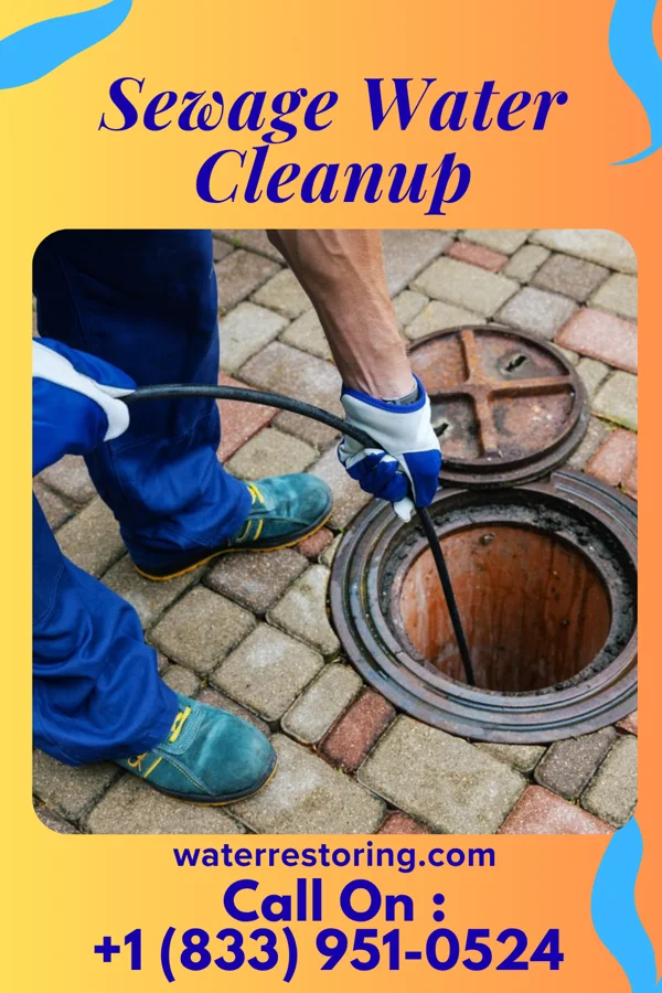 Sewage Water Cleanup in Clayton, NJ